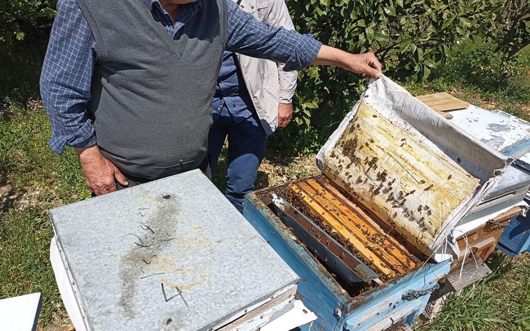 2021 Yılı Çiftçi Ziyaretleri